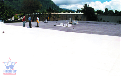 Elastomeric Roof Coating