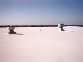 Single-Ply Roofing Before Coating